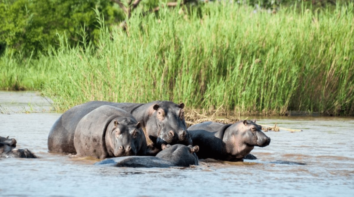 Discover Burundi—East Africa's Most Underrated Safari Destination