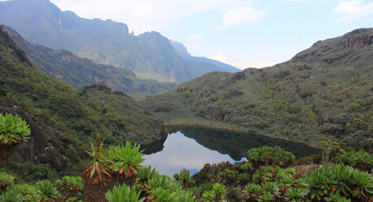 Rwenzori Mountain National Park