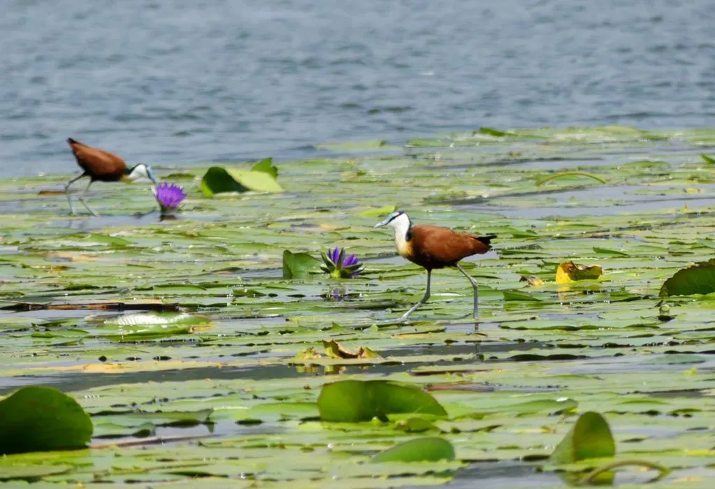 Top 7 Natural Wonders of Burundi