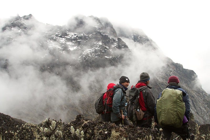 Rwenzori Expedition Stories