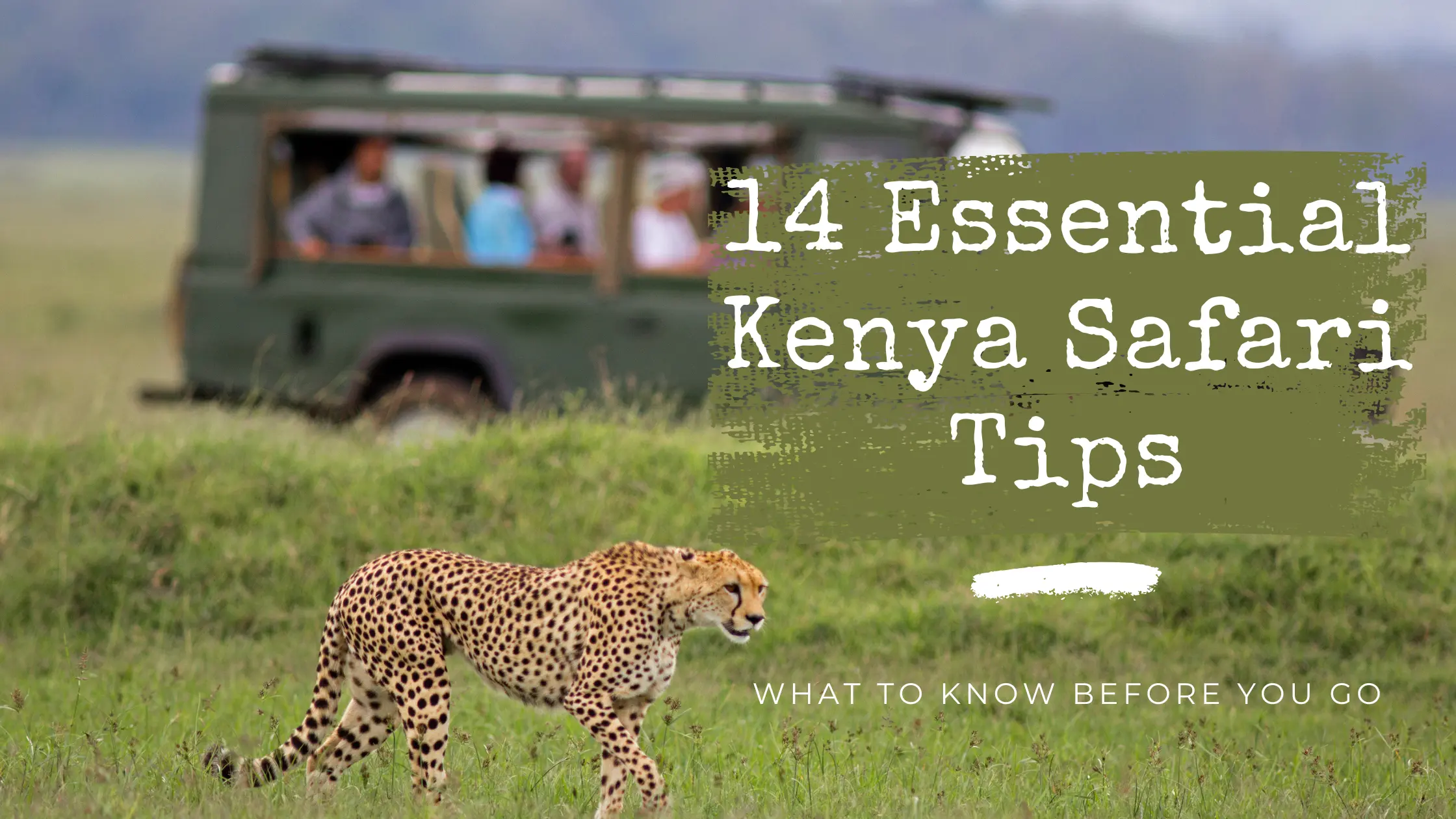 Essential Tips Your First Kenya Safari