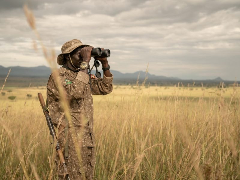 Why Go on a Photo Safari in Uganda?