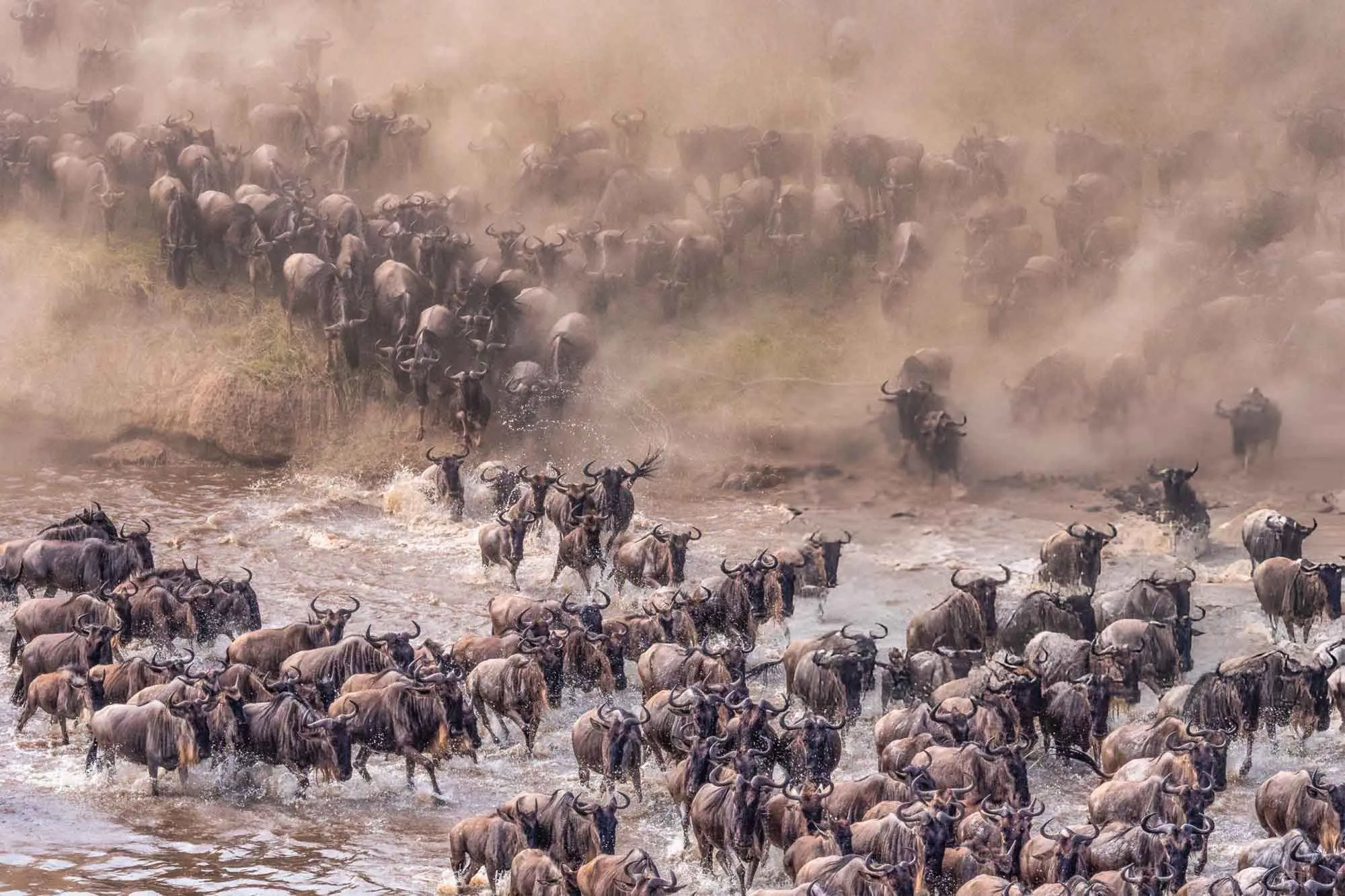 Witness the Great Migration in Grumeti